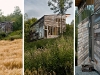 farm04.jpg