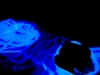 labyrinth-09.jpg