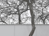 163590064__mg_0559-2.jpg